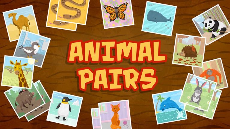 Animal Pairs – Matching N Concentration Game for Toddlers N Kids