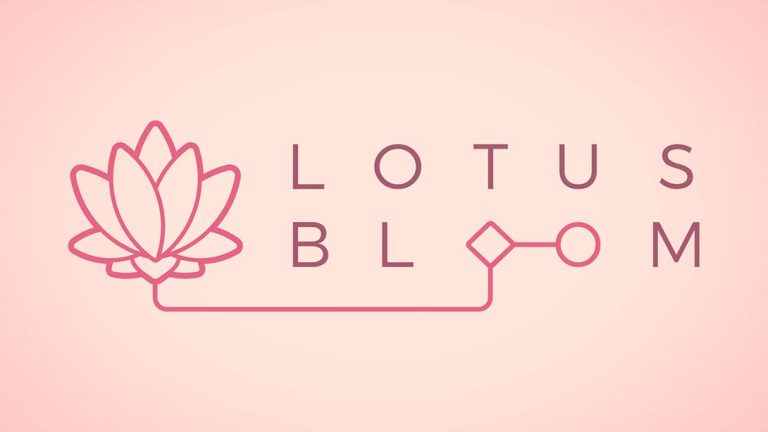 莲花盛开 Lotus Bloom