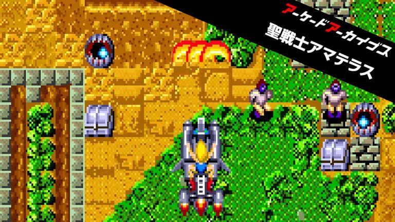 【日版】Arcade Archives Soldier Girl Amazon