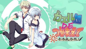 【日版】蛙畑奇事 夏 千木良参战！Catch the frog field DE ・ Summer Chiki Ryo participates!