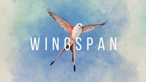 【美版】展翅翱翔 Wingspan