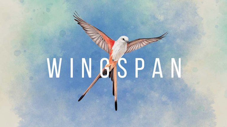 【美版】展翅翱翔 Wingspan