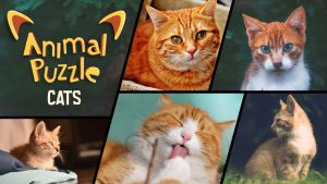 【美版】动物拼图猫 Animal Puzzle Cats