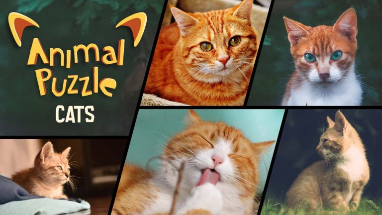 【美版】动物拼图猫 Animal Puzzle Cats