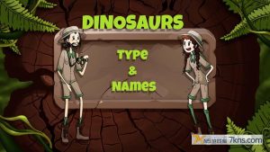 【美版】恐龙的种类和名称 Dinosaurs Types and names