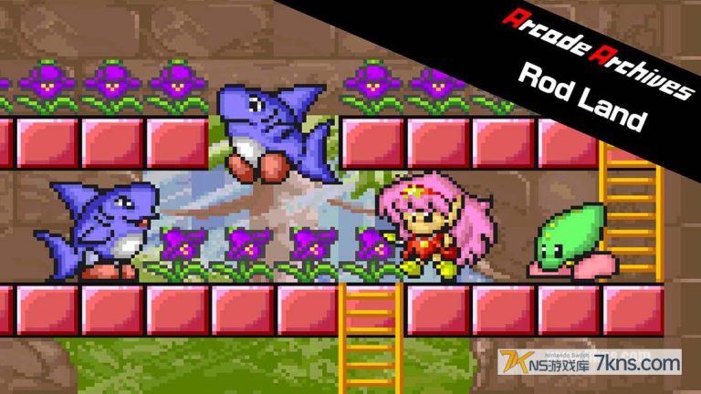 街机档案 罗德大陆 Arcade Archives Rod Land（1.0.1）金手指