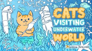 【美版】猫咪拜访海底世界 .Cats Visiting Underwater World