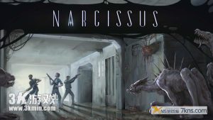 【美版】水仙 .Narcissus