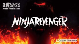 【澳版】忍者复仇者 .NINJA REVENGER